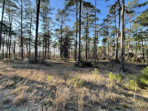 1 Acre of Residential Land for Sale in Brookeland, Texas