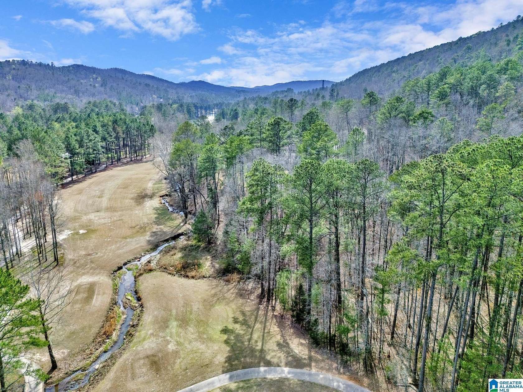 1.2 Acres of Residential Land for Sale in Oneonta, Alabama