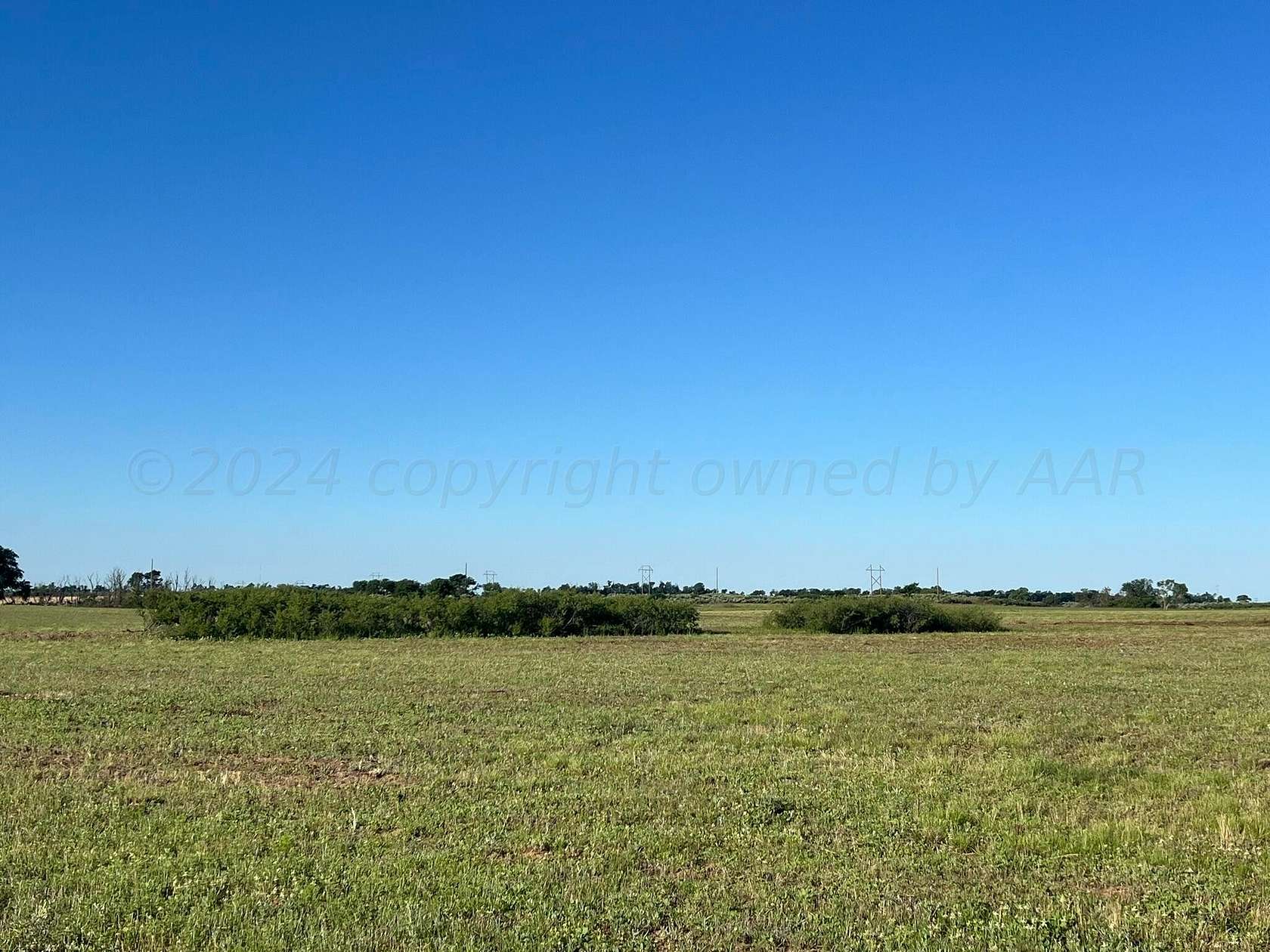 31.4 Acres of Agricultural Land for Sale in Wellington, Texas