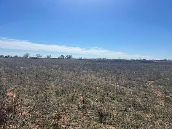 31.4 Acres of Agricultural Land for Sale in Wellington, Texas