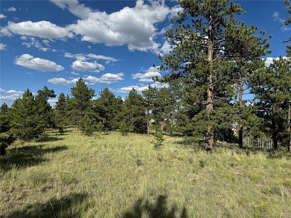 2.5 Acres of Residential Land for Sale in Hartsel, Colorado