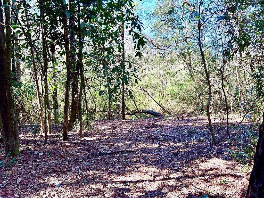 3.5 Acres of Residential Land for Sale in Headland, Alabama