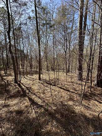 9 Acres of Residential Land for Sale in Lexington, Alabama
