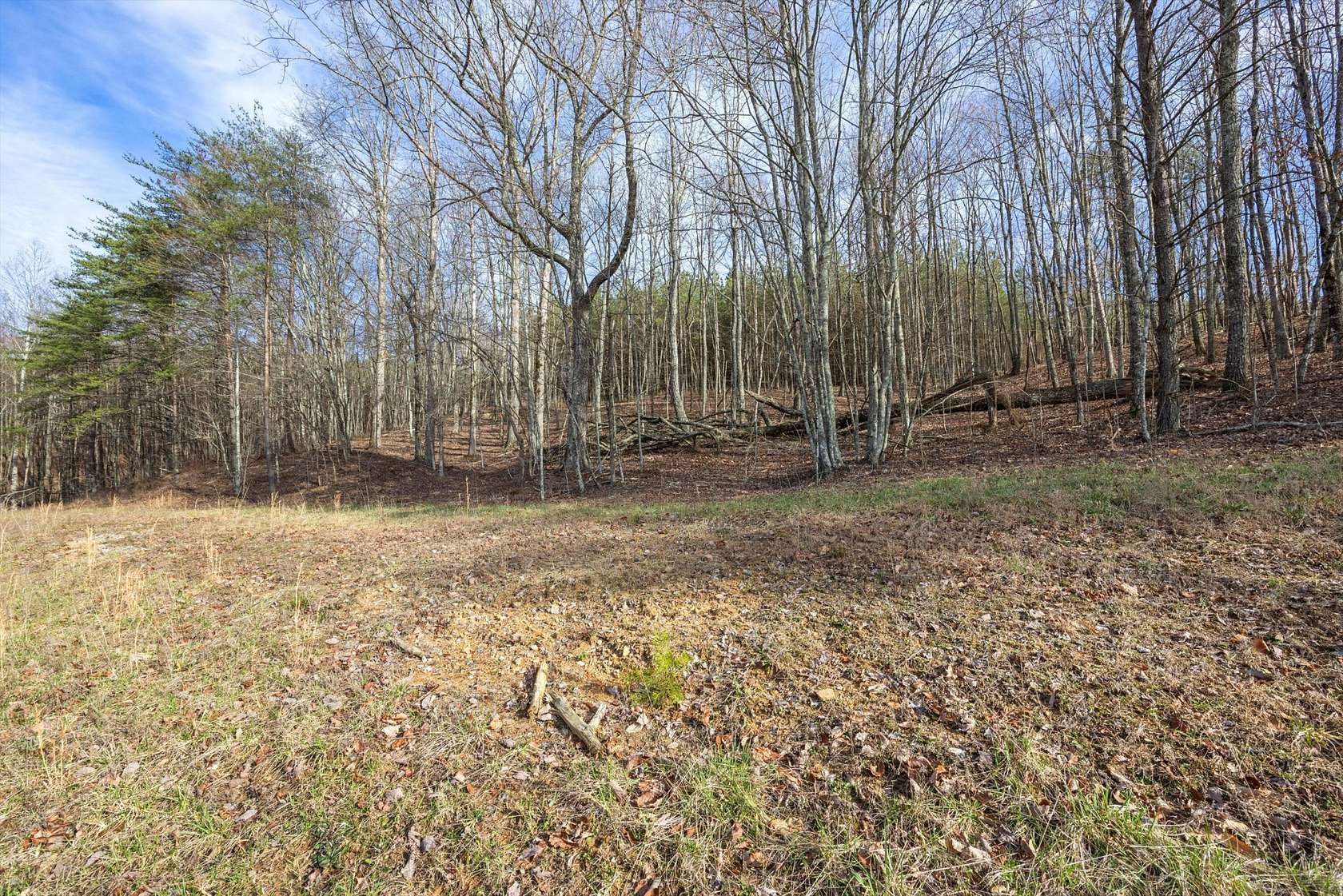 0.69 Acres of Residential Land for Sale in Jasper, Tennessee