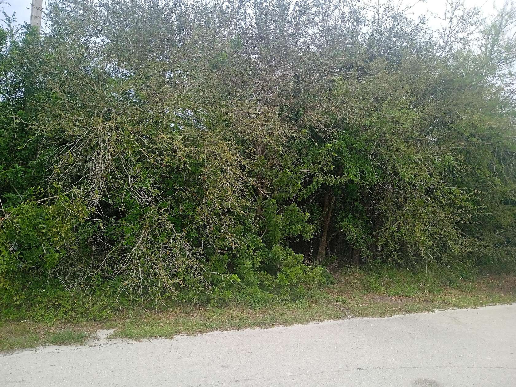 Residential Land for Sale in Lehigh Acres, Florida