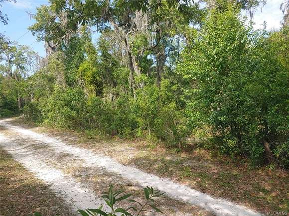 0.57 Acres of Land for Sale in Homosassa, Florida