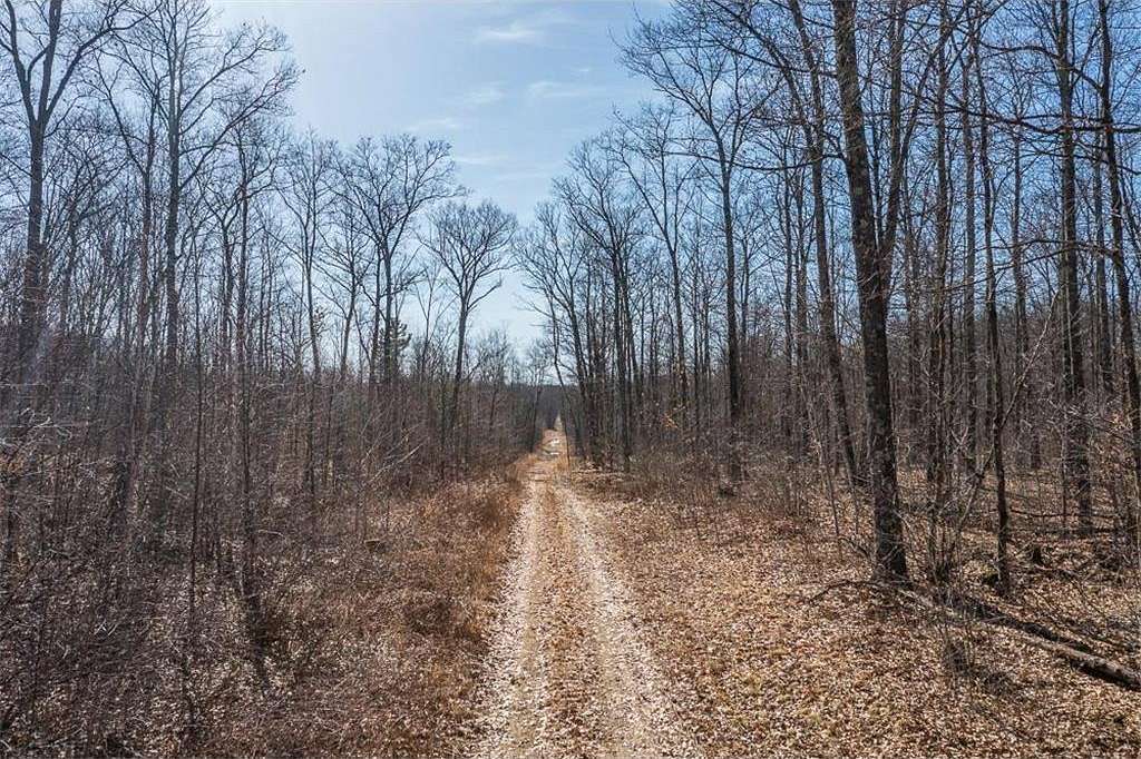 80 Acres of Recreational Land for Sale in Seavey Township, Minnesota