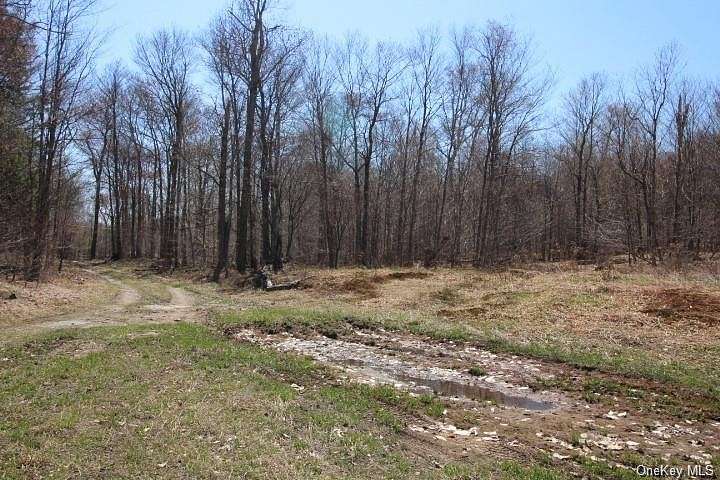 208 Acres of Recreational Land for Sale in Callicoon, New York
