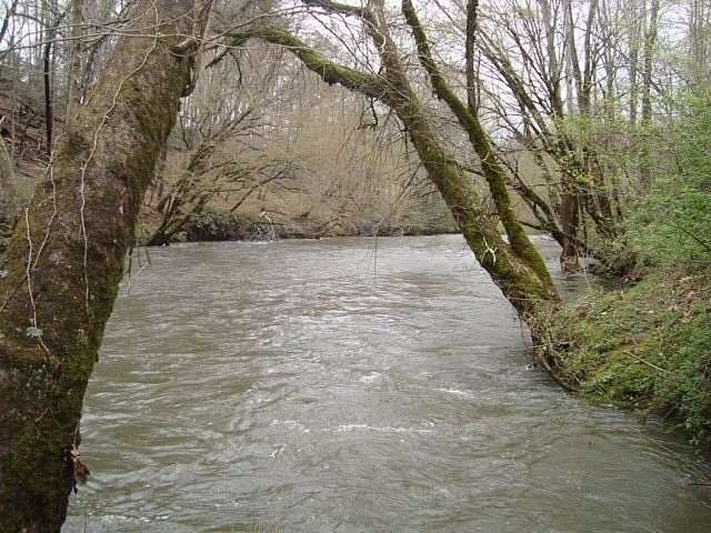 5 Acres of Land for Sale in Marble, North Carolina