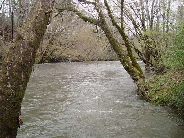 5 Acres of Land for Sale in Marble, North Carolina