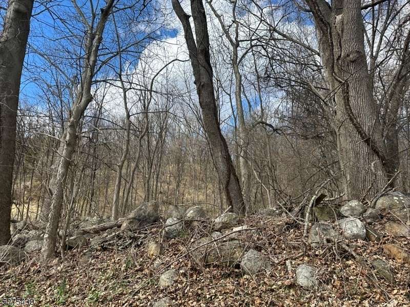 1.3 Acres of Residential Land for Sale in Blairstown Township, New Jersey
