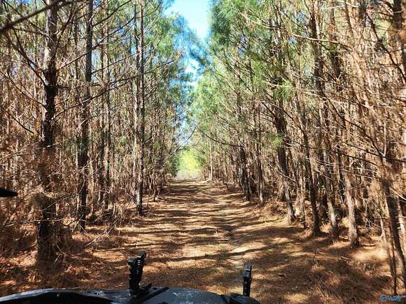 38 Acres of Recreational Land for Sale in Hamilton, Alabama