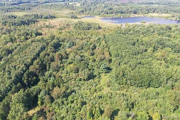 67.8 Acres of Recreational Land for Sale in Attica, Michigan