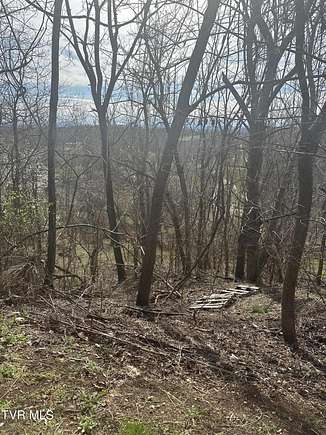 0.62 Acres of Residential Land for Sale in Kingsport, Tennessee