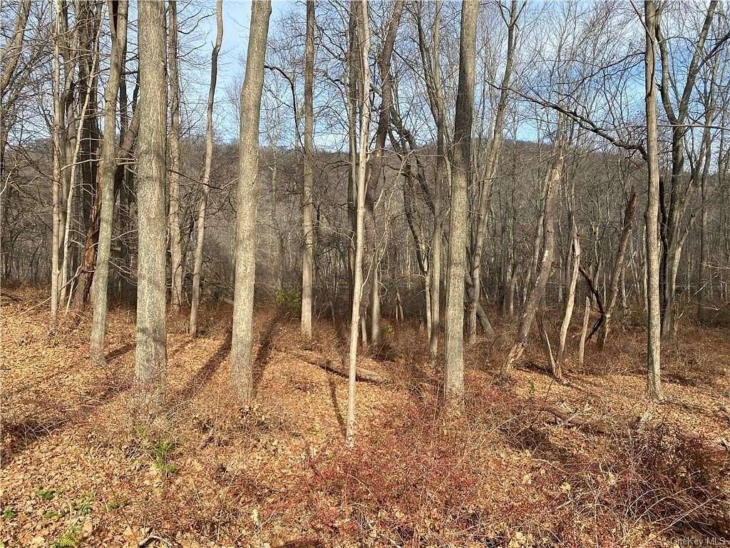 14.44 Acres of Commercial Land for Sale in Southeast Town, New York