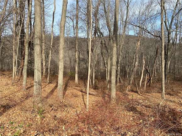 14.4 Acres of Commercial Land for Sale in Southeast Town, New York