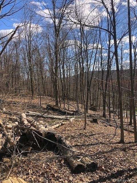 11 Acres of Recreational Land for Sale in Patterson, New York