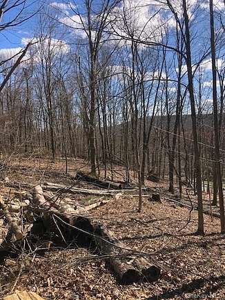 11 Acres of Recreational Land for Sale in Patterson, New York