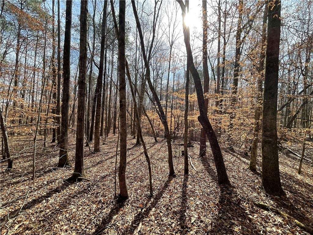 9.4 Acres of Residential Land for Sale in Valley, Alabama