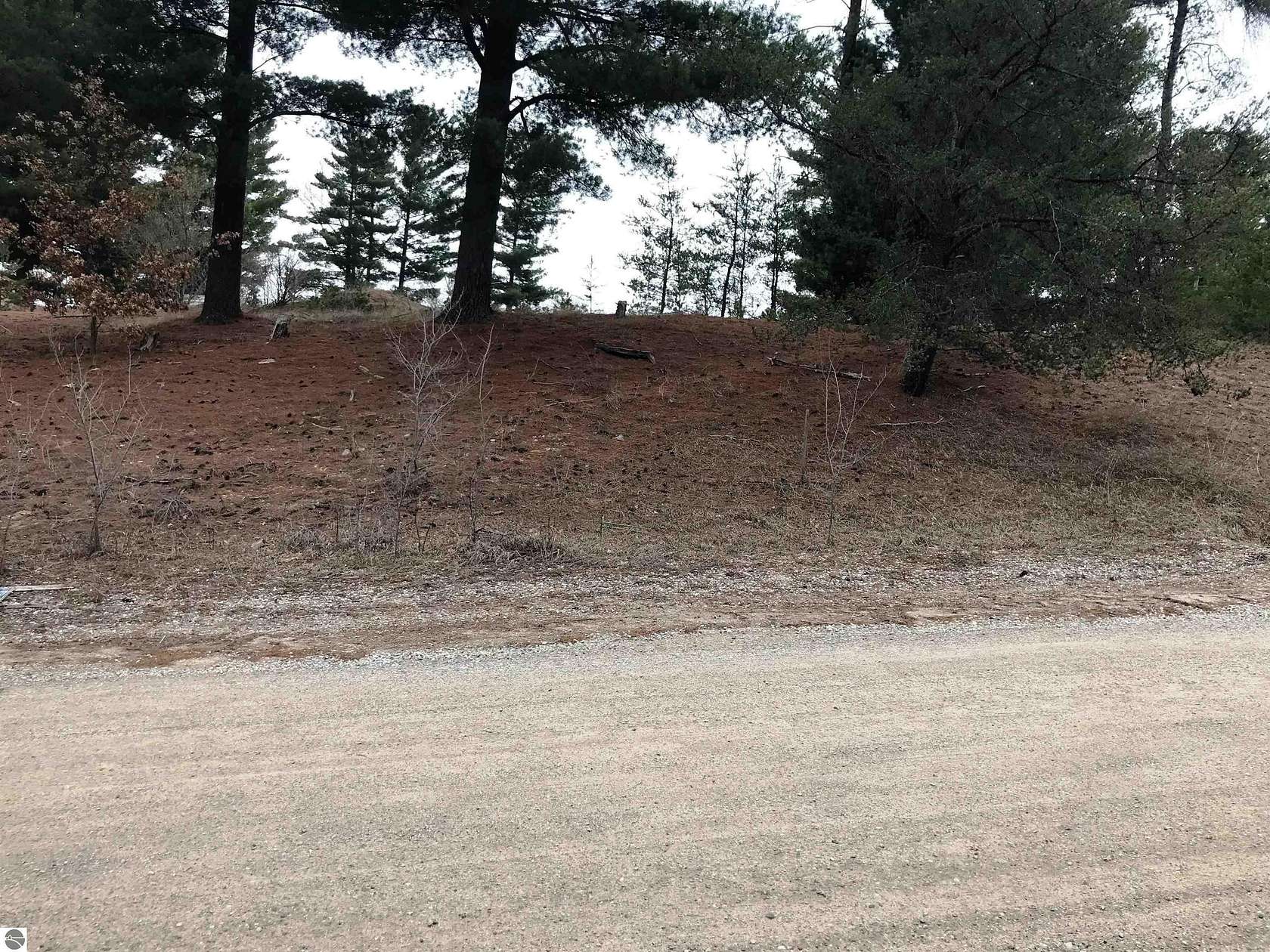 0.37 Acres of Land for Sale in Mesick, Michigan