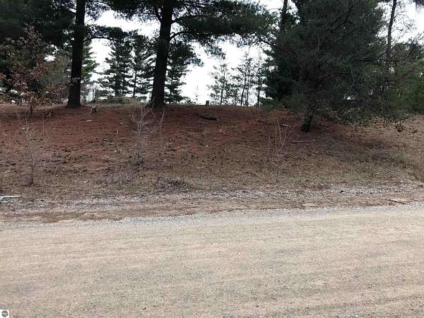 0.37 Acres of Land for Sale in Mesick, Michigan