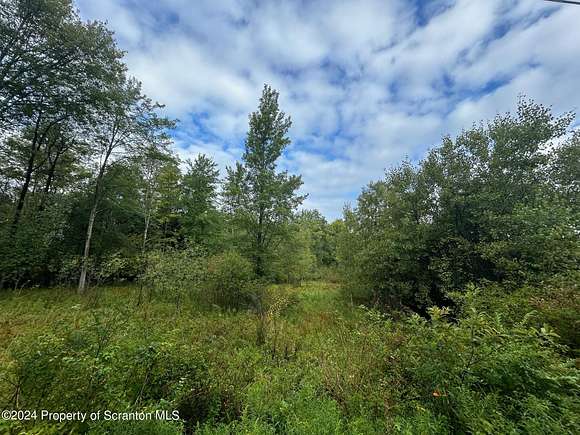 80.27 Acres of Land for Sale in Glenburn Township, Pennsylvania