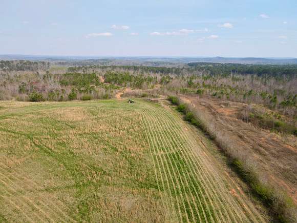 15 Acres of Recreational Land & Farm for Sale in Lineville, Alabama