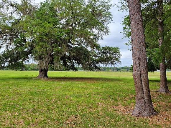 10 Acres of Land for Sale in Bushnell, Florida