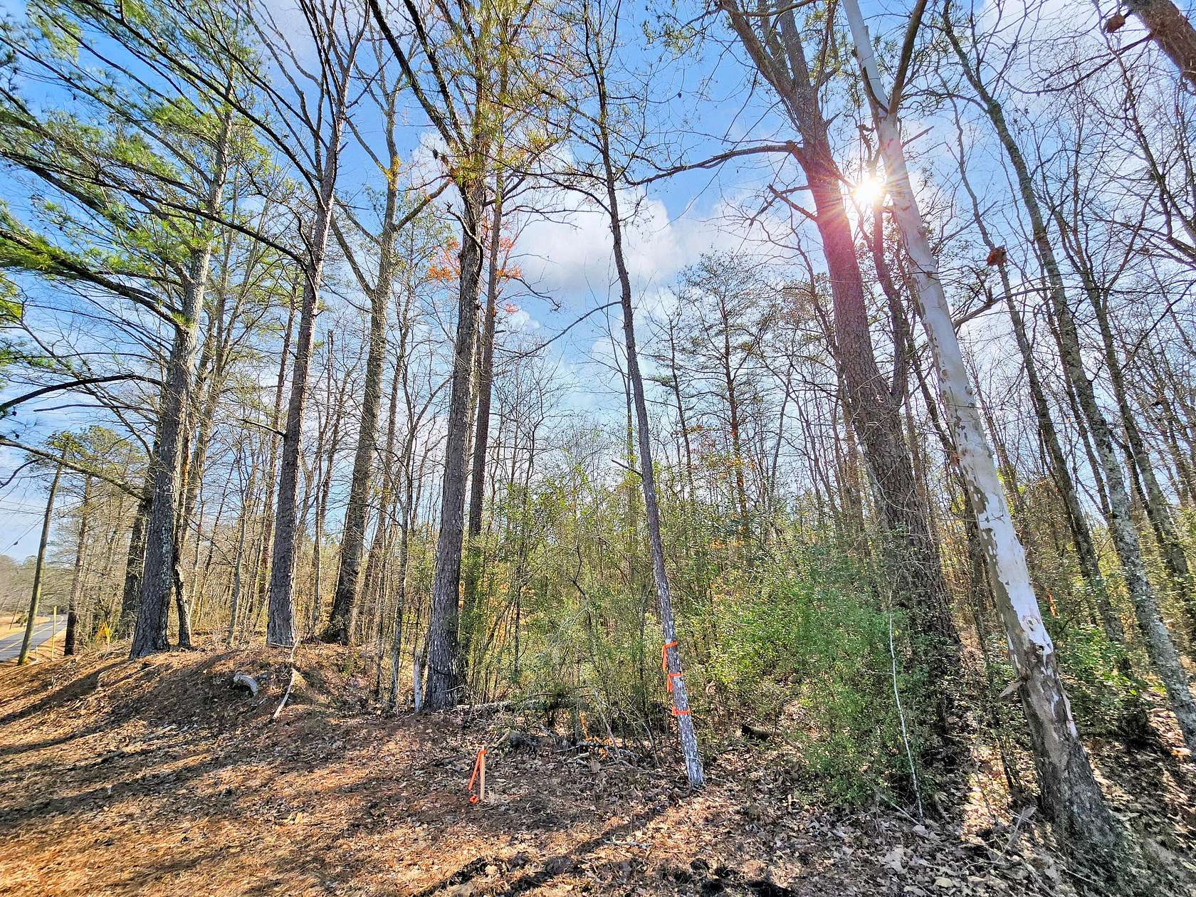 14 Acres of Land for Sale in Nauvoo, Alabama