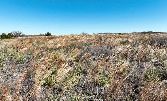 320 Acres of Recreational Land & Farm for Sale in Roaring Springs, Texas