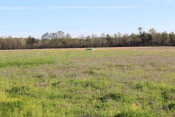 77 Acres of Recreational Land & Farm for Sale in Gallion, Alabama