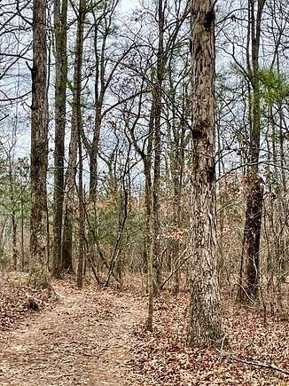 107 Acres of Recreational Land & Farm for Sale in Conyers, Georgia