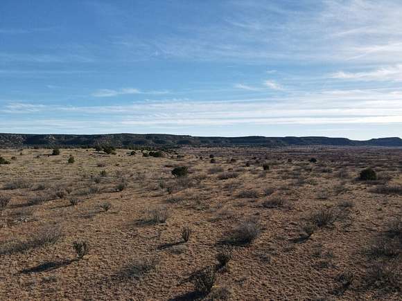 5.1 Acres of Residential Land for Sale in Conchas, New Mexico