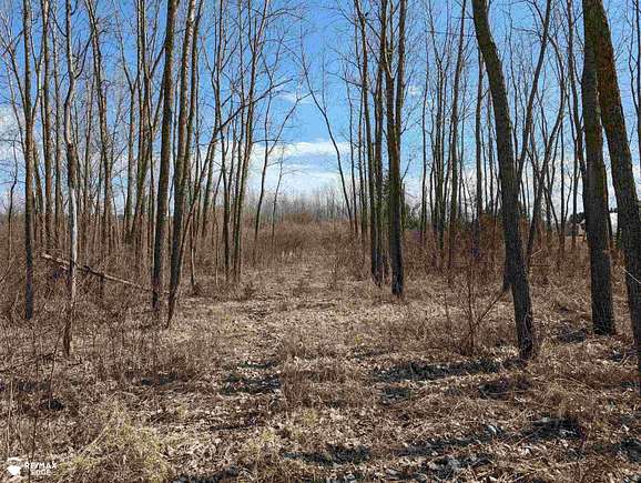 15.1 Acres of Land for Sale in Gaines, Michigan