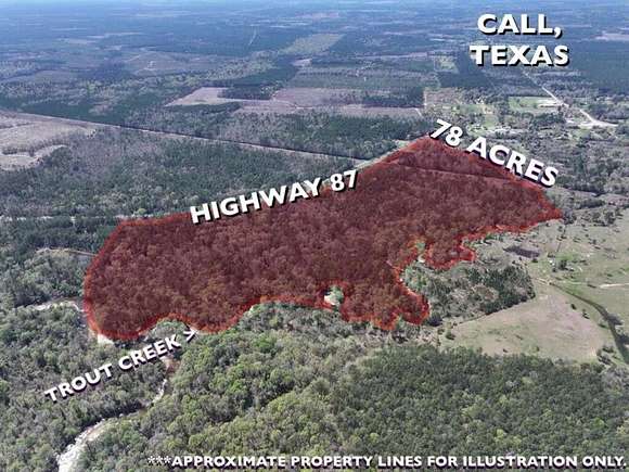 78 Acres of Recreational Land for Sale in Call, Texas