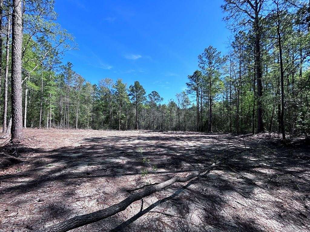 5.1 Acres of Residential Land for Sale in Carriere, Mississippi