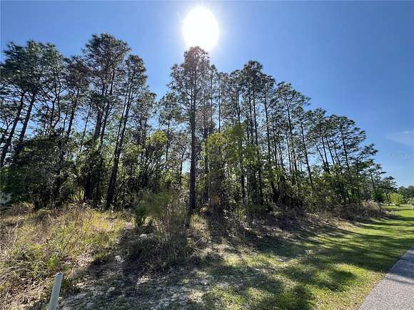 0.96 Acres of Residential Land for Sale in Brooksville, Florida