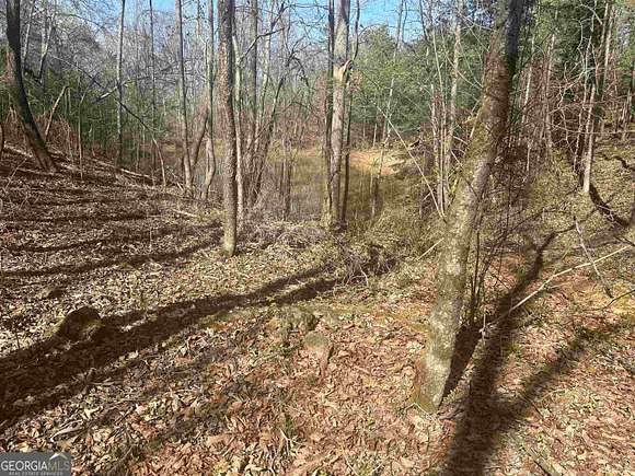 8.2 Acres of Residential Land for Sale in Royston, Georgia