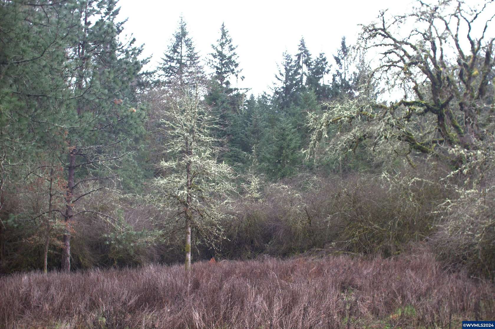5.5 Acres of Residential Land for Sale in Scio, Oregon