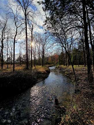 30 Acres of Land for Sale in Greenbrier, Arkansas