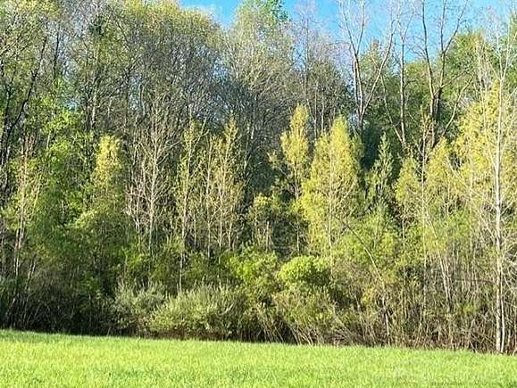 1.6 Acres of Residential Land for Sale in Bruce Township, Michigan