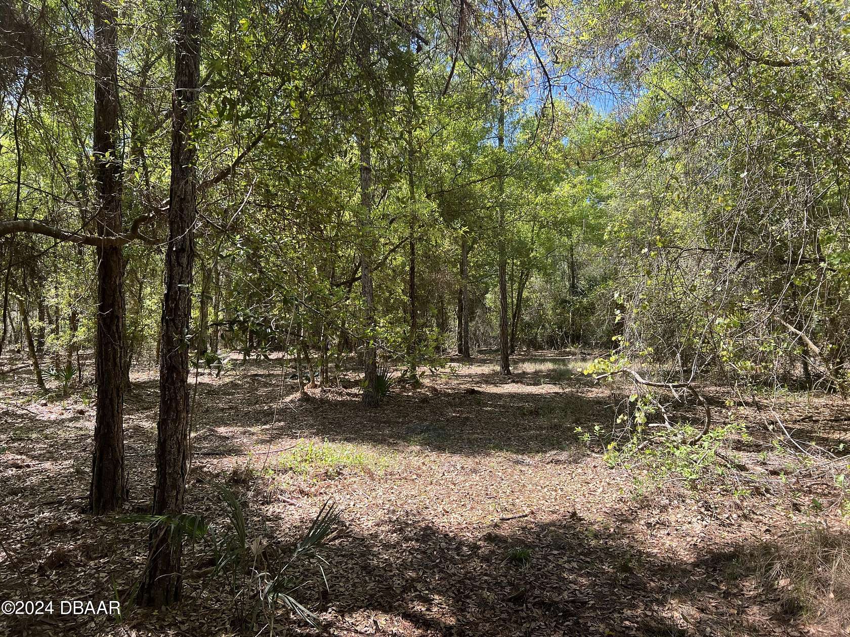 1.4 Acres of Residential Land for Sale in Georgetown, Florida