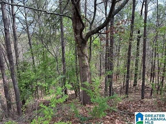 0.85 Acres of Land for Sale in Hoover, Alabama