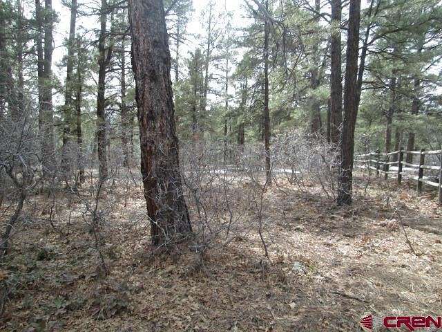 0.29 Acres of Residential Land for Sale in Pagosa Springs, Colorado