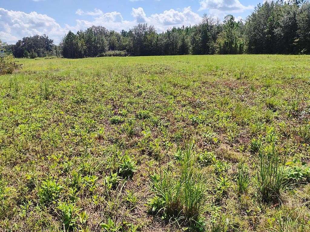 5 Acres of Residential Land for Sale in Jakin, Georgia