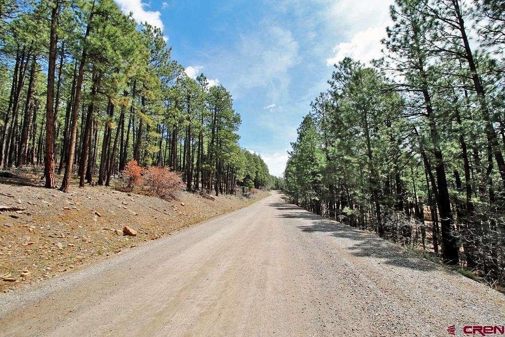 1 Acre of Residential Land for Sale in Bayfield, Colorado