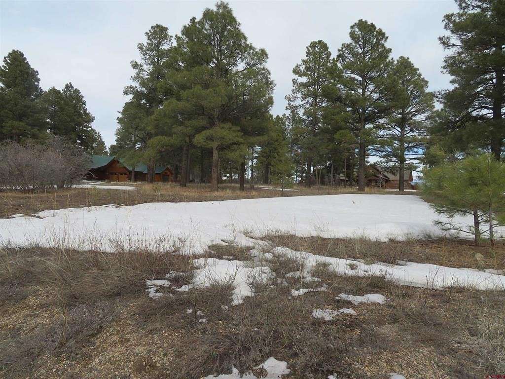 0.99 Acres of Residential Land for Sale in Pagosa Springs, Colorado
