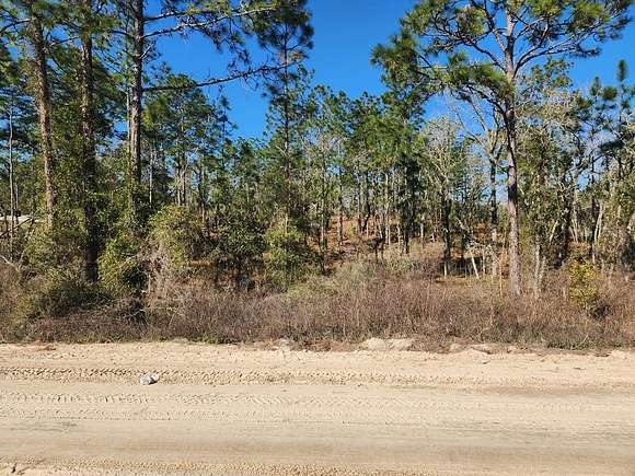 1.25 Acres of Land for Sale in Williston, Florida