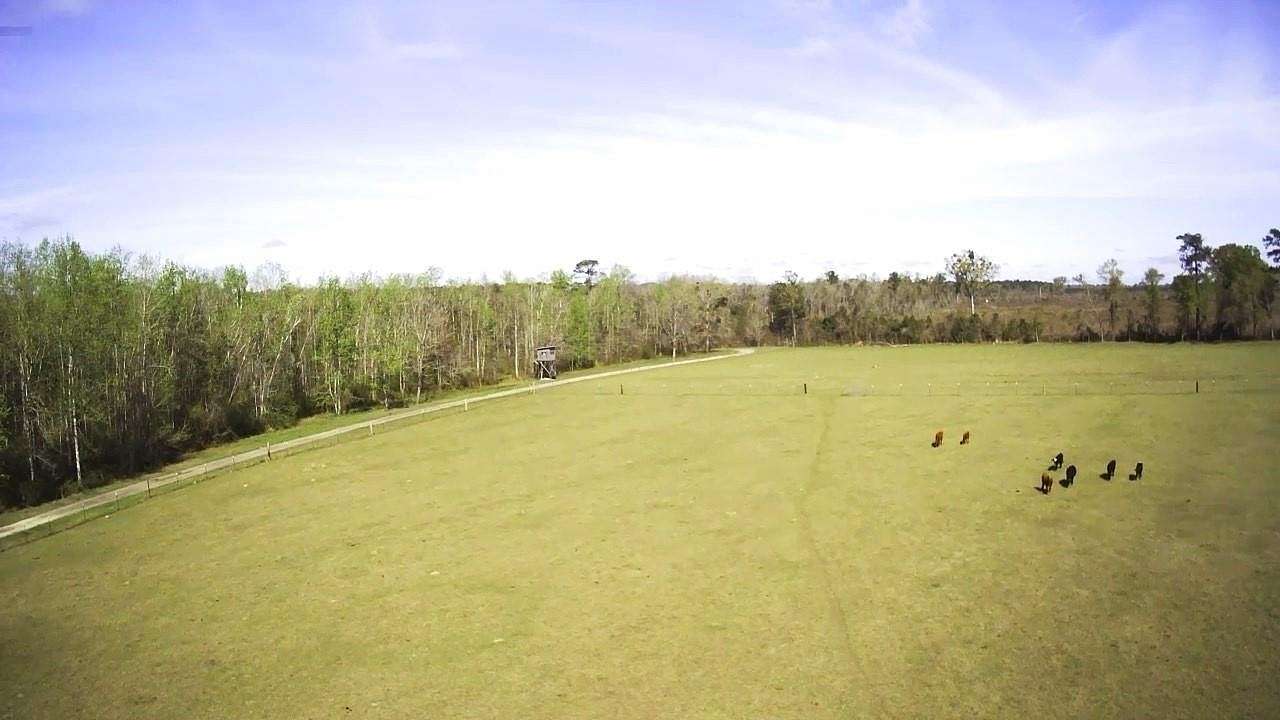 48.5 Acres of Recreational Land with Home for Sale in Chattahoochee, Florida