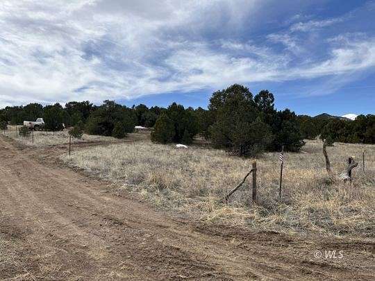 2.4 Acres of Residential Land for Sale in Cotopaxi, Colorado